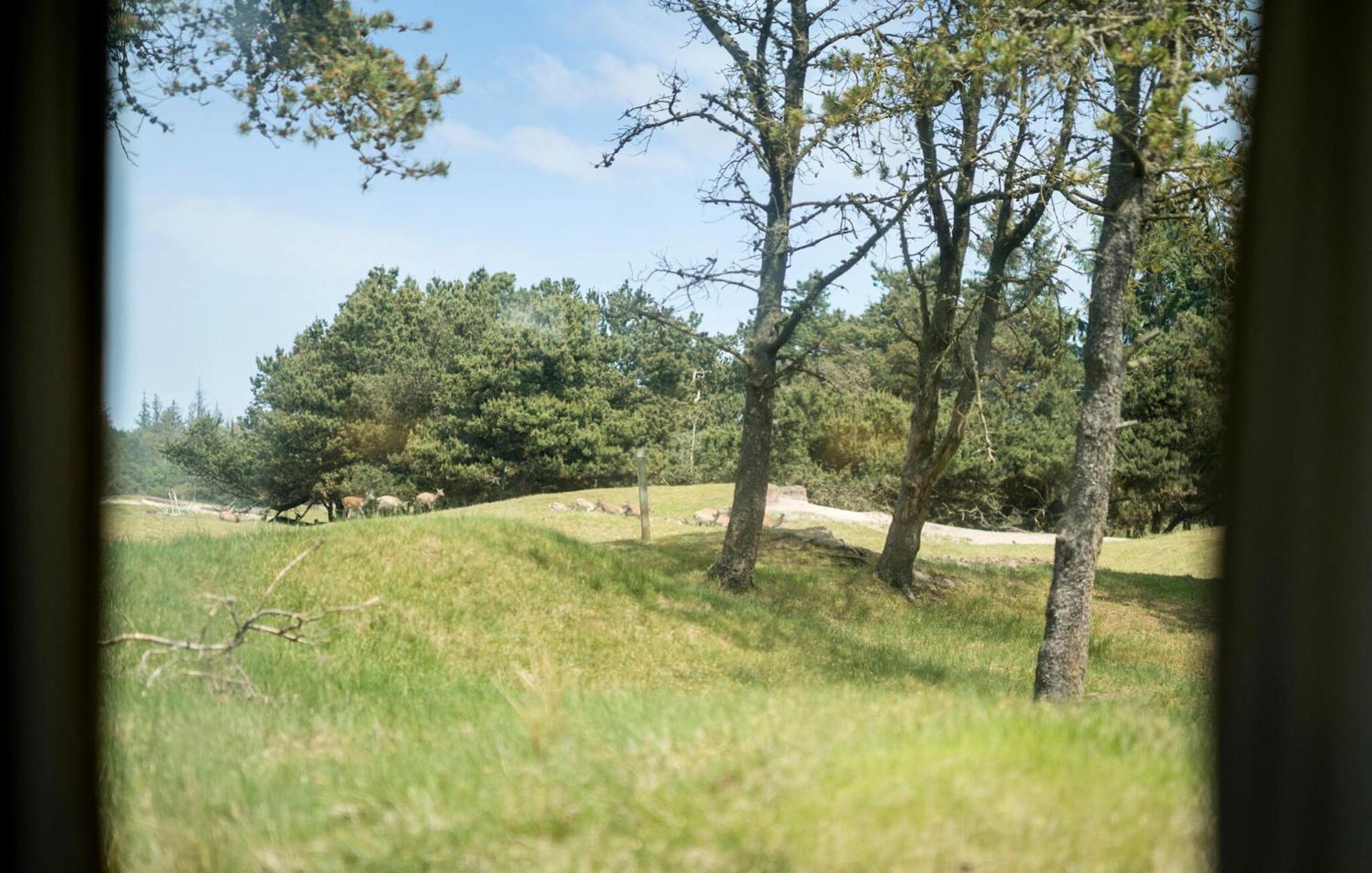 Rogegard Garden Villa Fjerritslev Kültér fotó